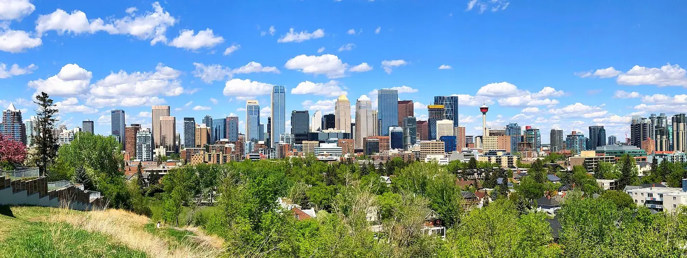 Skyline de Calgary em dia de céu azul, com prédios do centro e vegetação em primeiro plano