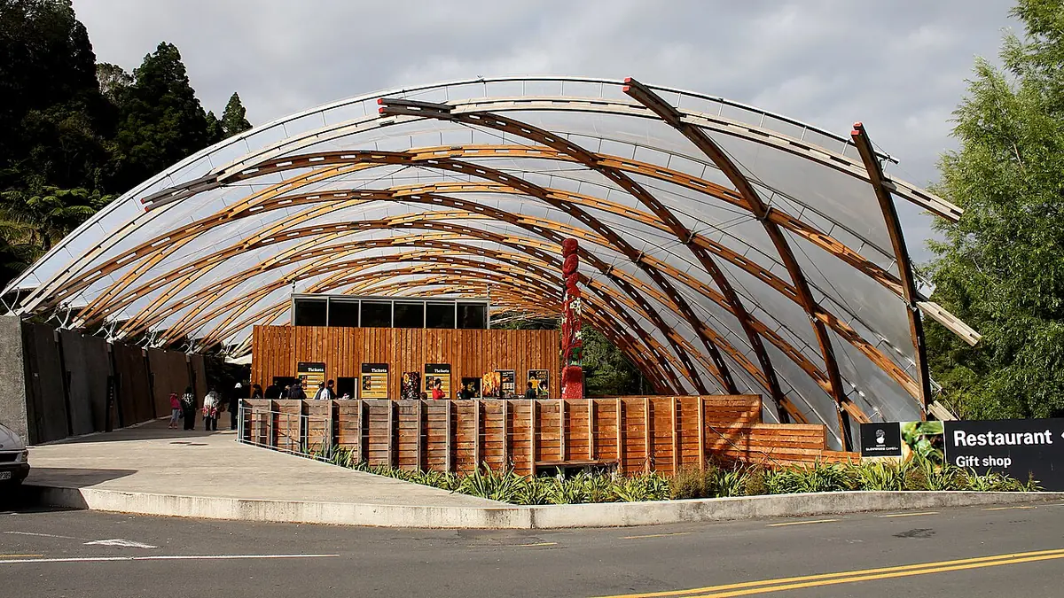 Centro de visitantes das cavernas de Waitomo com cobertura de madeira em treliça curva